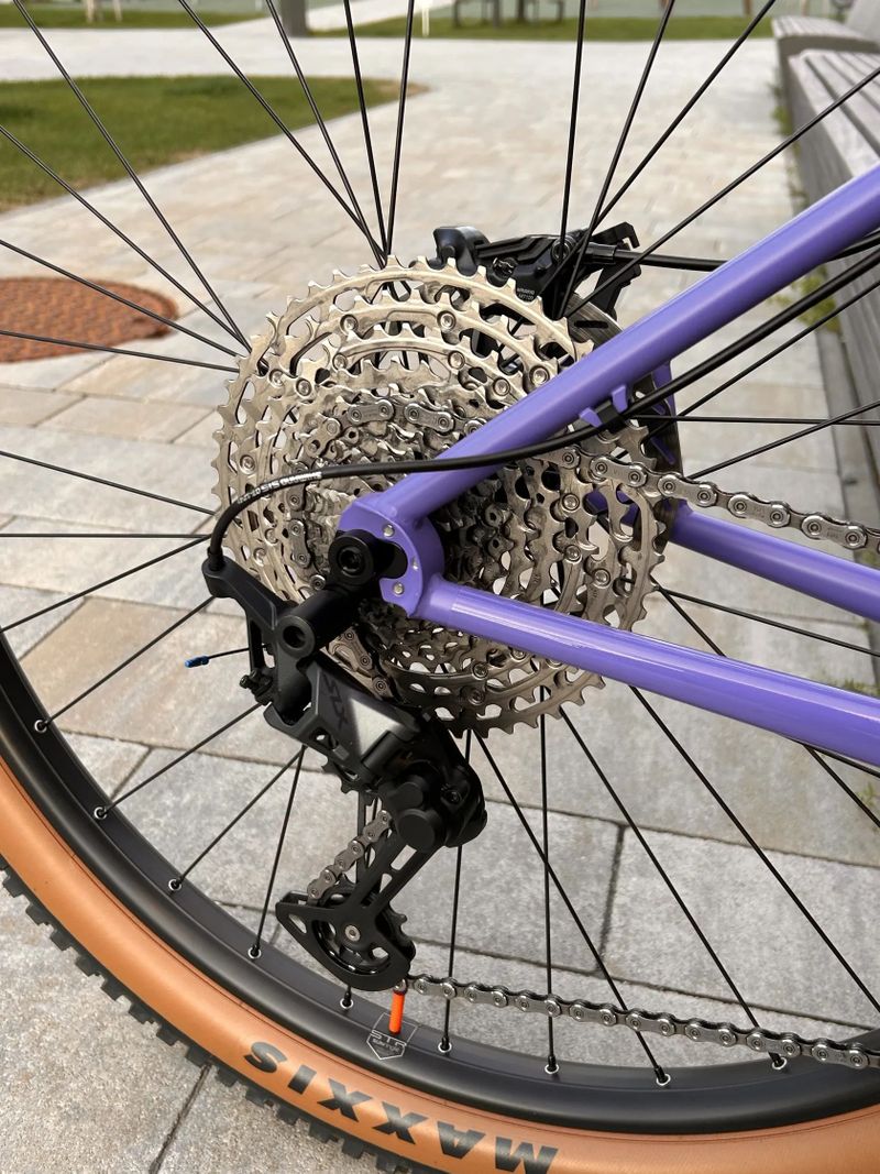 Jeronimo Txabardo / 29er / CrMo / Custom Hardtail 
