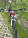 Trek Cobia
