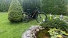 Maxbike 29