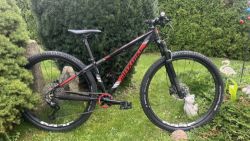 Maxbike 29