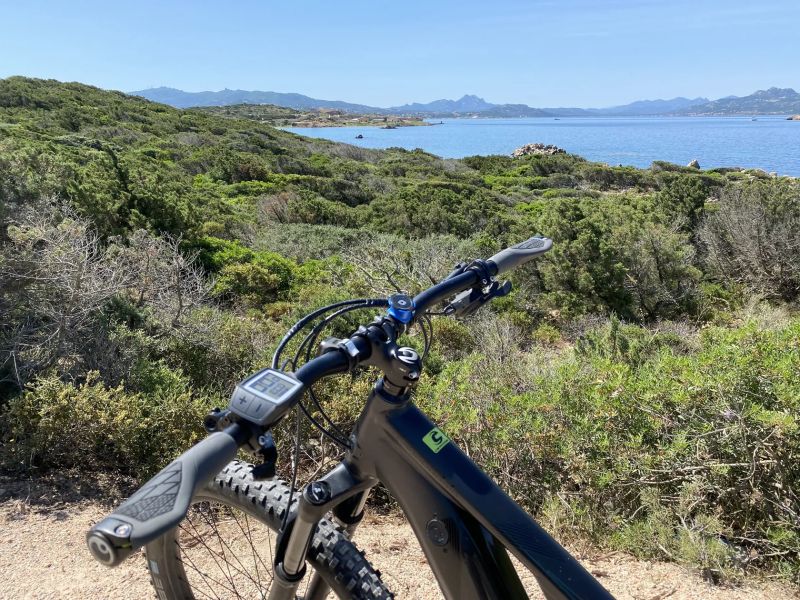 Cannondale Moterra NEO 3
