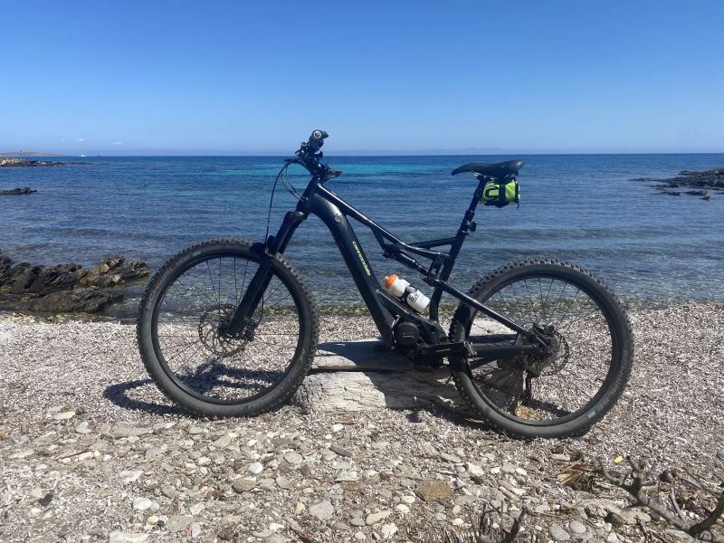 Cannondale Moterra NEO 3