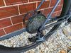 Specialized Crux