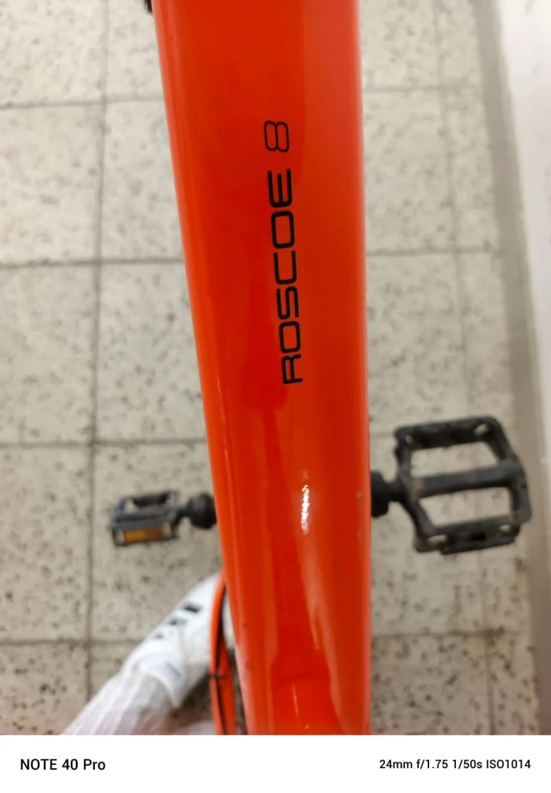 Trek Roscoe 8