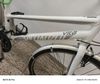 Specialized vita