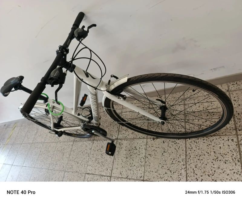 Specialized vita