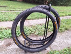 Continental Trinotal Trail Rapid a Grip 29x2,4" 