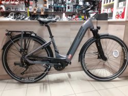 Leader Fox Vivalo 28"