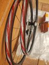 Fulcrum rapid red 300, 650b, XDr, 12x100/12x142..pláště Conti Terra 650x47B