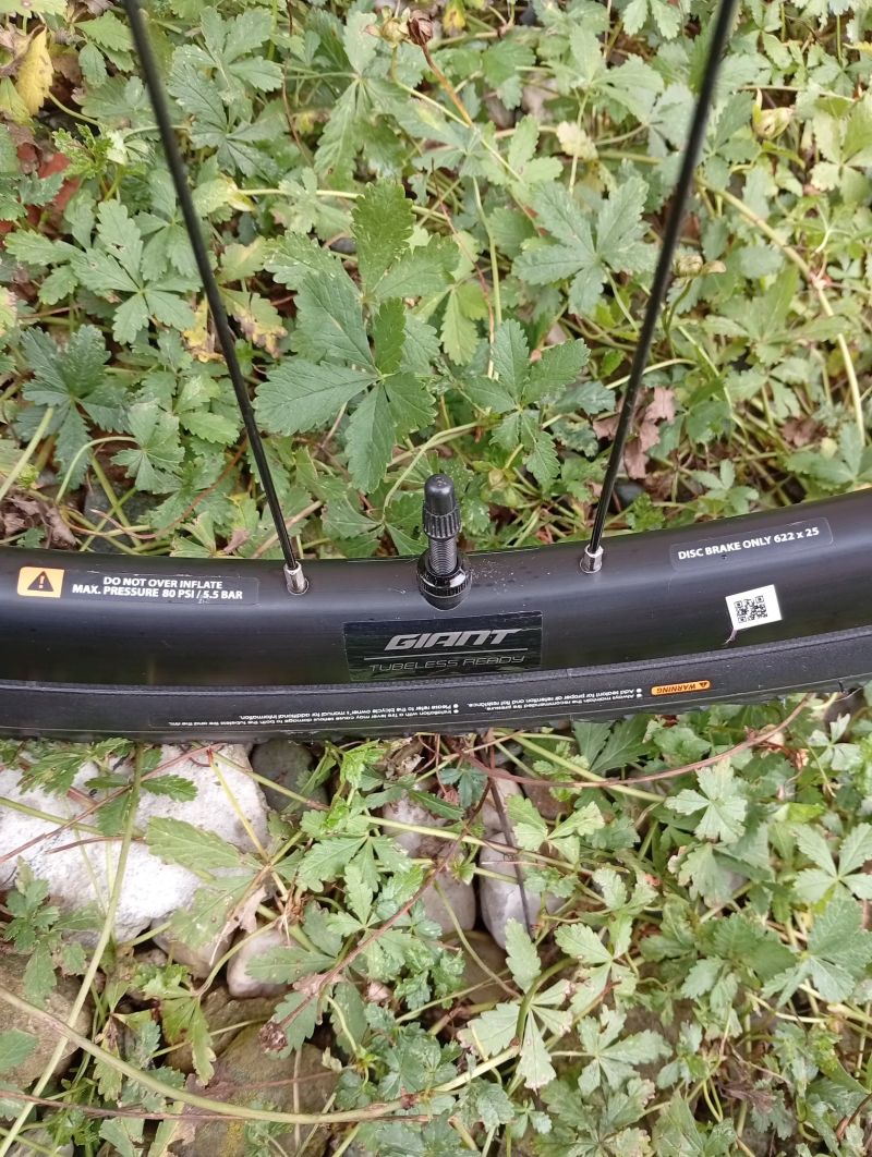 Gravel kola Giant SX2 