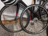 Nové výplety 28" DT Swiss pro ráfkové brzdy