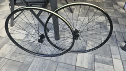 WTB ST i23 TCS 2.0, 28h, Tubeless Ready