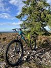 Trek Remedy 8 2020