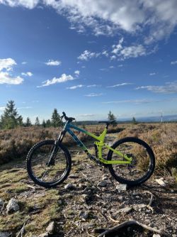 Trek Remedy 8 2020