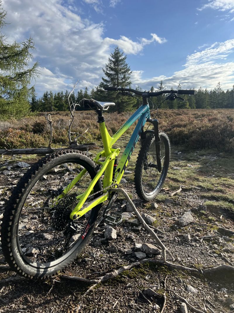 Trek Remedy 8 2020