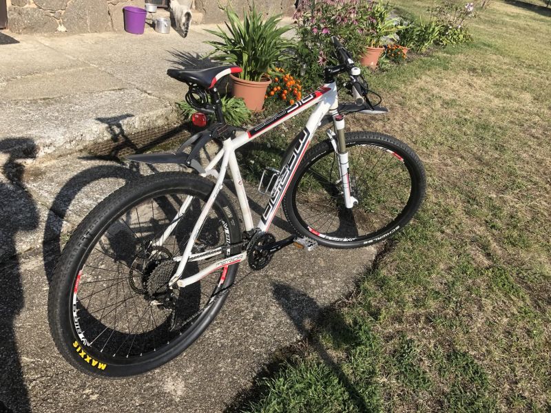 Merida Big.Nine 900