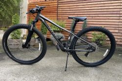Specialized Pitch