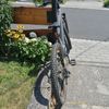 KELLYS TYGON R50 29" velikosti M