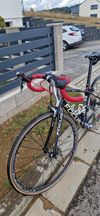 Focus Izalco Dona