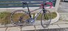 Focus Izalco Dona