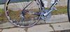 Focus Izalco Dona
