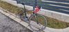 Focus Izalco Dona