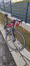 Focus Izalco Dona