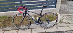 Focus Izalco Dona