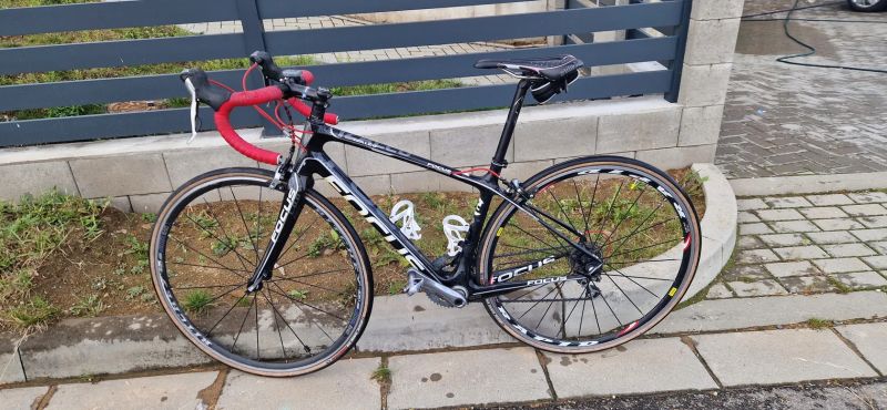 Focus Izalco Dona