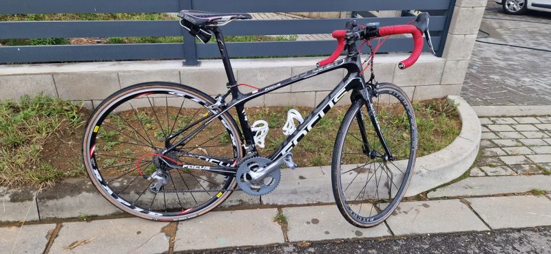 Focus Izalco Dona