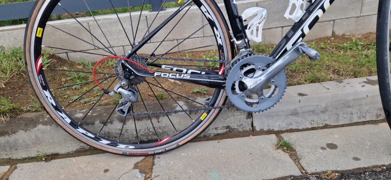 Focus Izalco Dona