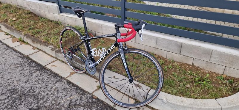 Focus Izalco Dona