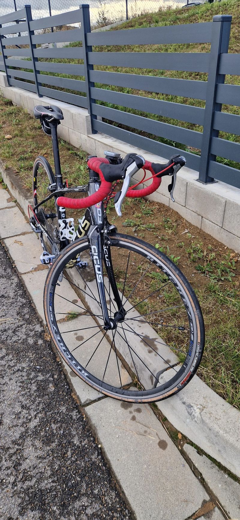 Focus Izalco Dona