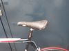 Fuji Rouibaix PRO