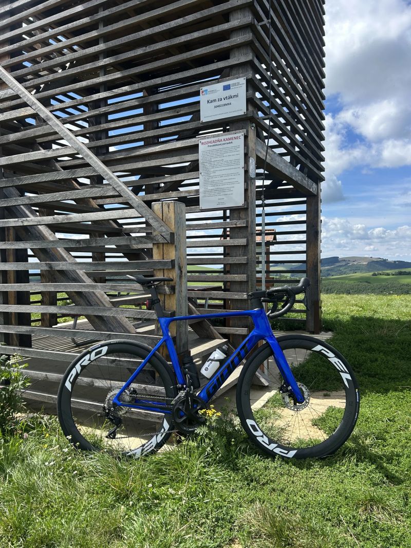 Giant Propel Advanced 2 56”