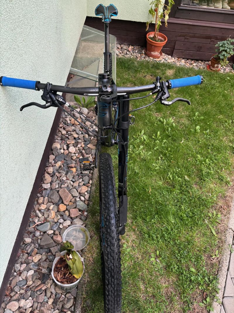 Cannondale FSI 2
