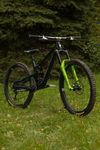 Propain Tyee CF 6.1 29 2025
