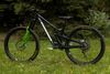 Propain Tyee CF 6.1 29 2025