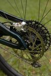 Propain Tyee CF 6.1 29 2025