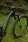 Propain Tyee CF 6.1 29 2025