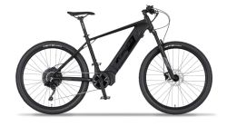 EasyBike Watt