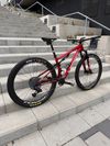 Specialized EPIC