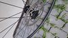 Gravel výplety Axis elite disc