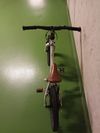 Early Rider Belter 16