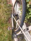GT Grade expert carbon