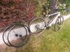 GT Grade expert carbon