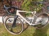 GT Grade expert carbon