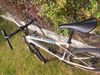 GT Grade expert carbon
