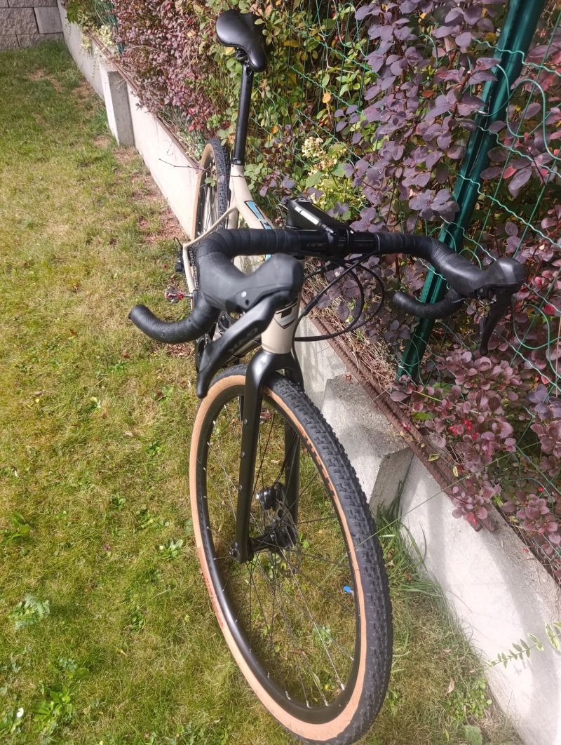 GT Grade expert carbon