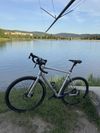 Marin Gestalt 2